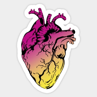 Heart Human Anatomy pink raimbow Sticker